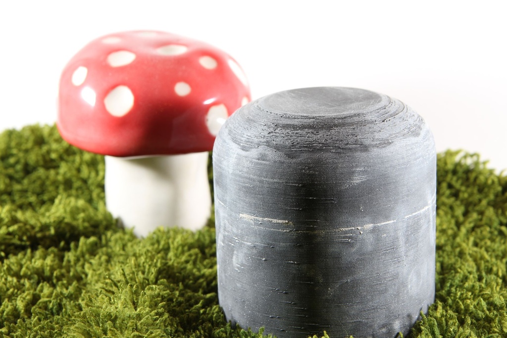 Champignon de modelage